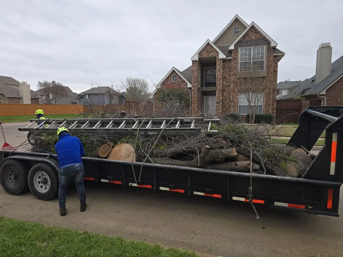 Expert Lot Clearing with proper safety equipment in Institute